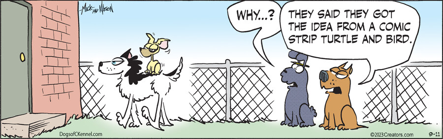 Dogs of C-Kennel for Sep 11, 2023