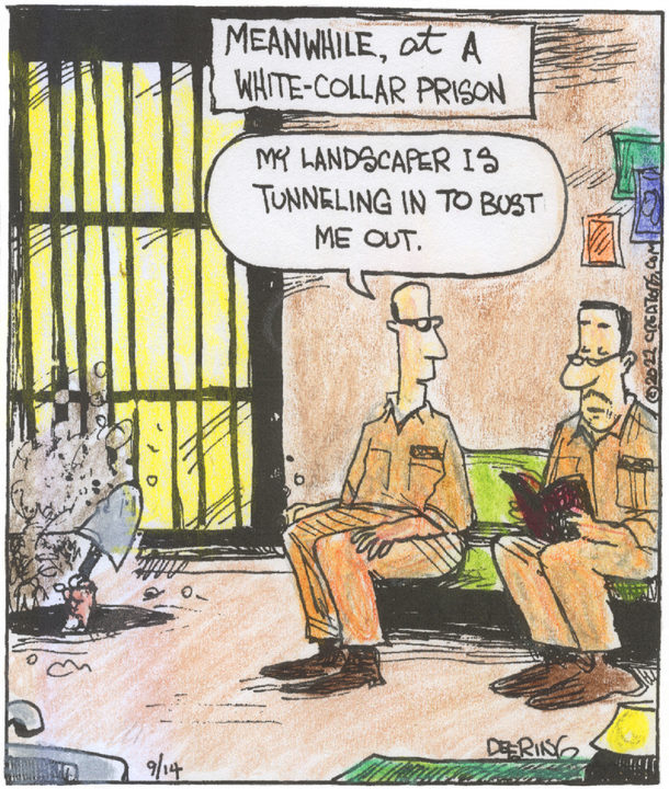 Strange Brew for Sep 14, 2022