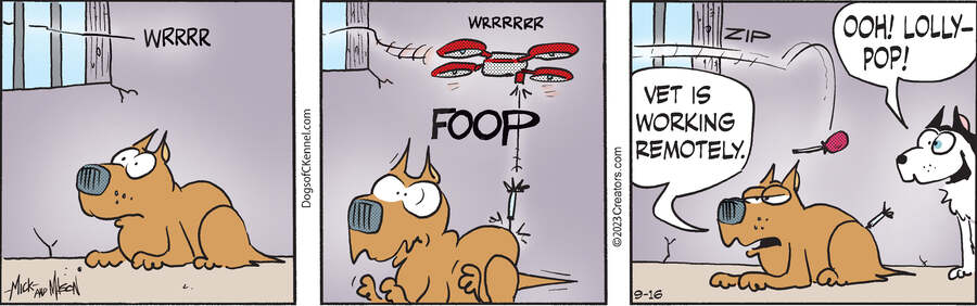 Dogs of C-Kennel for Sep 16, 2023