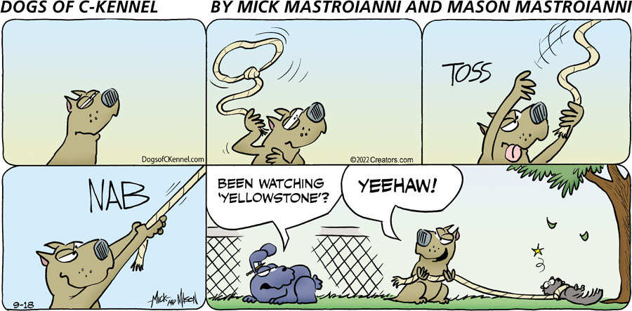 Dogs of C-Kennel for Sep 18, 2022