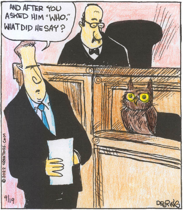 Strange Brew for Sep 19, 2022