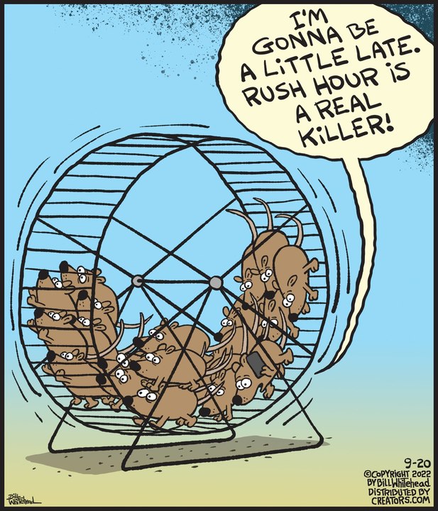 Free Range for Sep 20, 2022