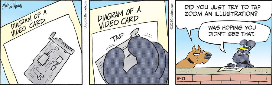 Dogs of C-Kennel for Sep 21, 2022