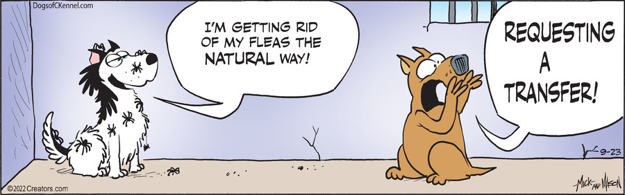 Dogs of C-Kennel for Sep 23, 2022