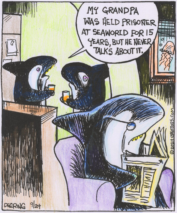 Strange Brew for Sep 24, 2024