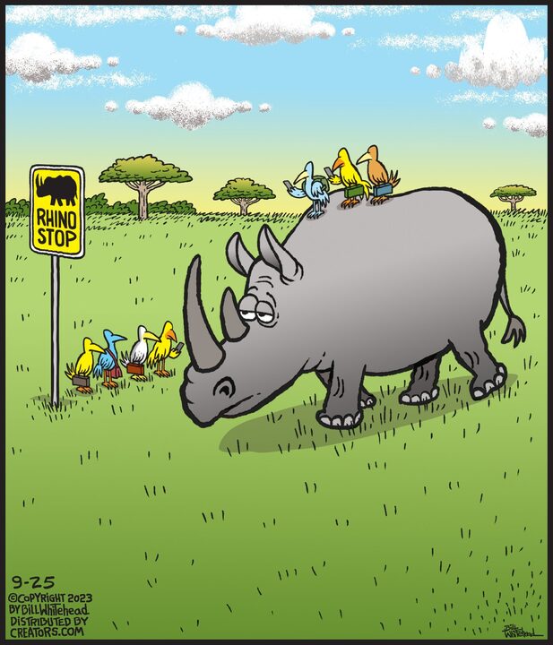 Free Range for Sep 25, 2023