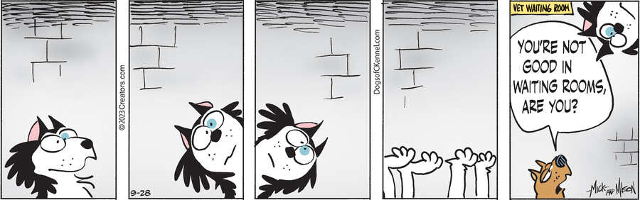 Dogs of C-Kennel for Sep 28, 2023