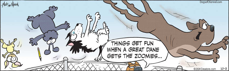 Dogs of C-Kennel for Oct 02, 2024