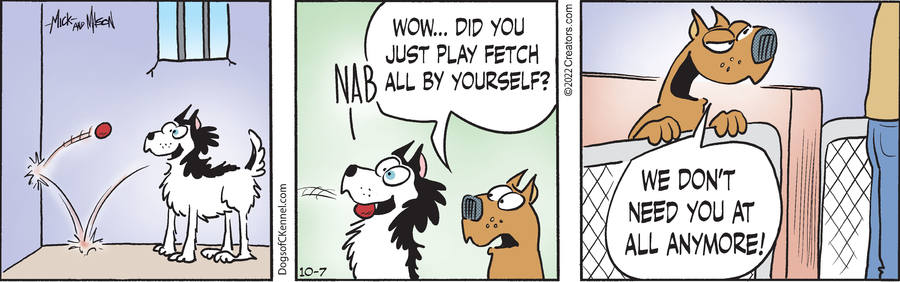 Dogs of C-Kennel for Oct 07, 2022