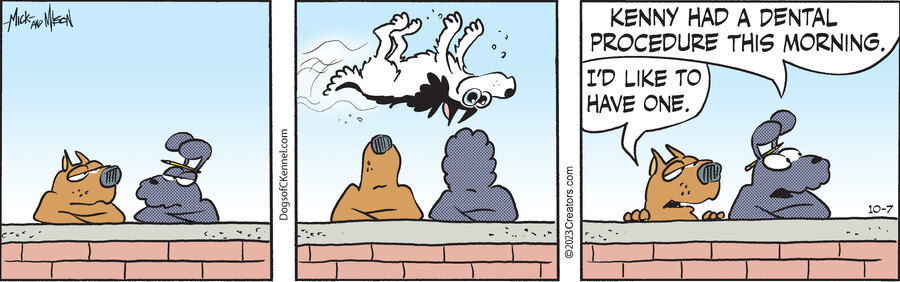 Dogs of C-Kennel for Oct 07, 2023
