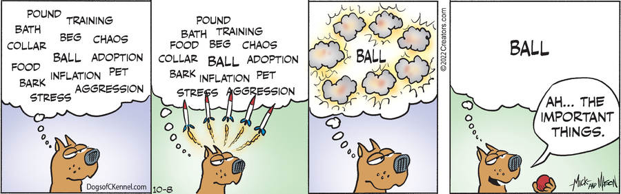 Dogs of C-Kennel for Oct 08, 2022