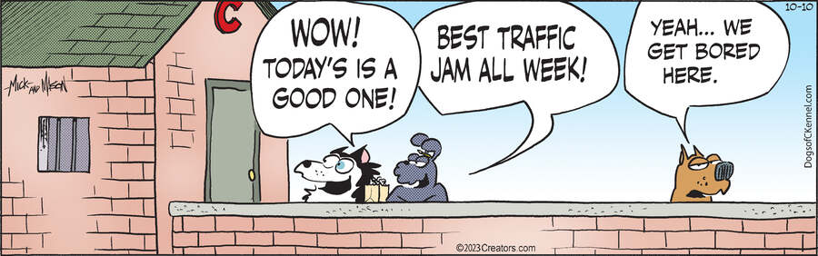 Dogs of C-Kennel for Oct 10, 2023