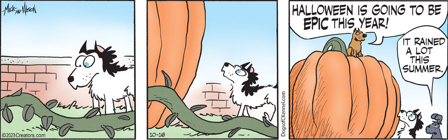 Dogs of C-Kennel for Oct 16, 2023