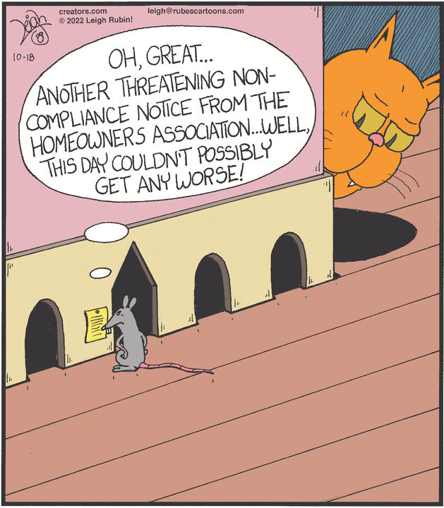 Rubes® for Oct 18, 2022