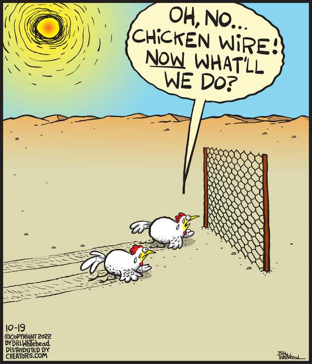 Free Range for Oct 19, 2022