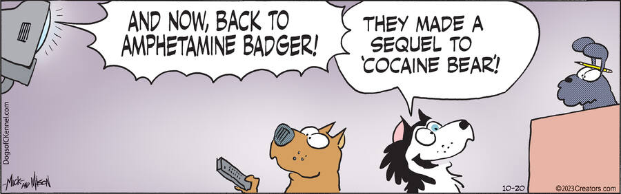 Dogs of C-Kennel for Oct 20, 2023