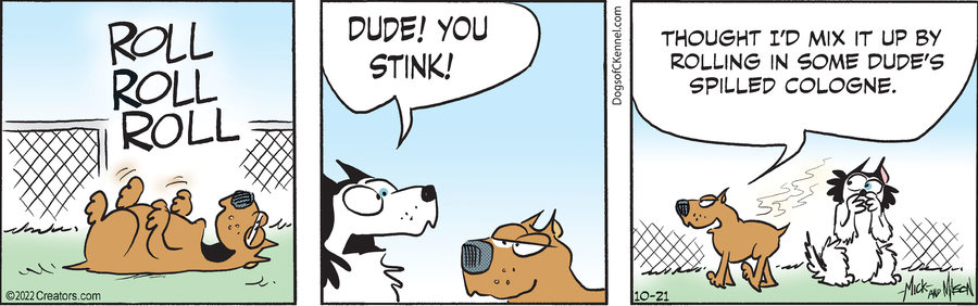 Dogs of C-Kennel for Oct 21, 2022