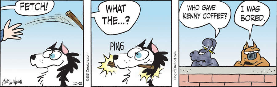 Dogs of C-Kennel for Oct 21, 2024