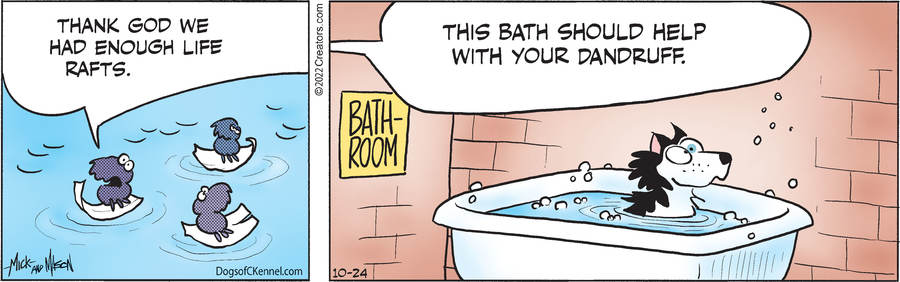 Dogs of C-Kennel for Oct 24, 2022