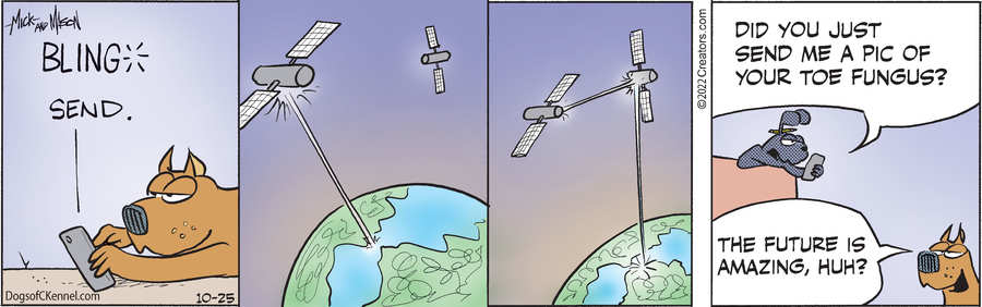 Dogs of C-Kennel for Oct 25, 2022