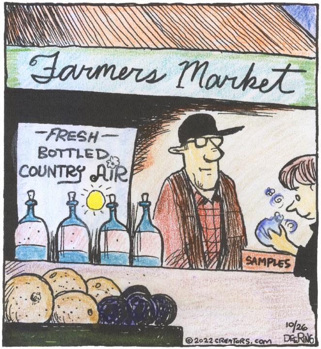 Strange Brew for Oct 26, 2022