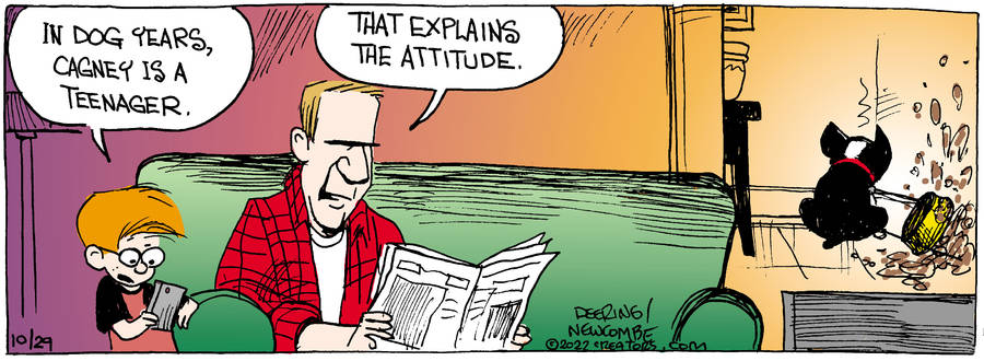 Zack Hill for Oct 29, 2022