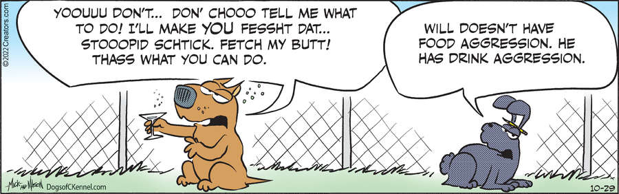 Dogs of C-Kennel for Oct 29, 2022