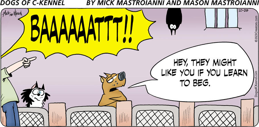 Dogs of C-Kennel for Oct 29, 2023