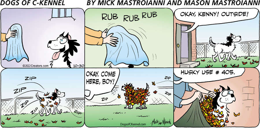 Dogs of C-Kennel for Oct 30, 2022