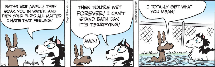 Dogs of C-Kennel for Nov 01, 2022