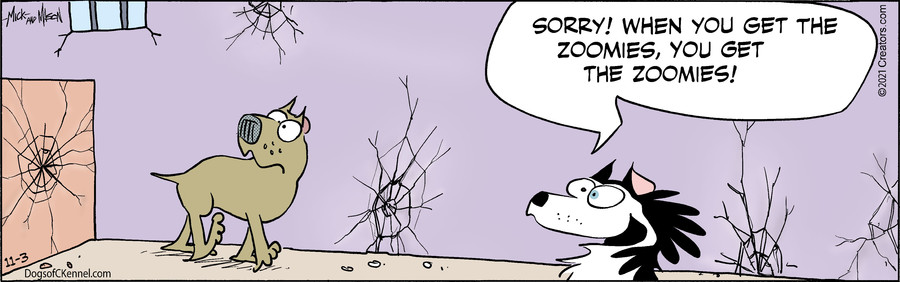 Dogs of C-Kennel for Nov 03, 2021