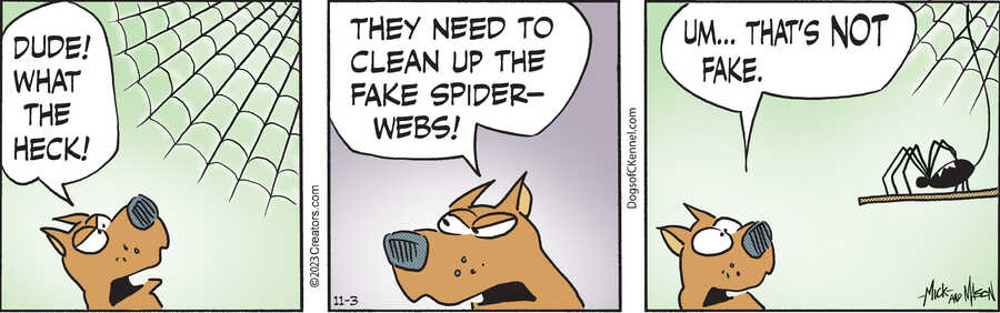 Dogs of C-Kennel for Nov 03, 2023