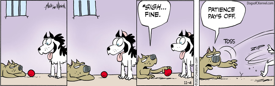 Dogs of C-Kennel for Nov 04, 2021