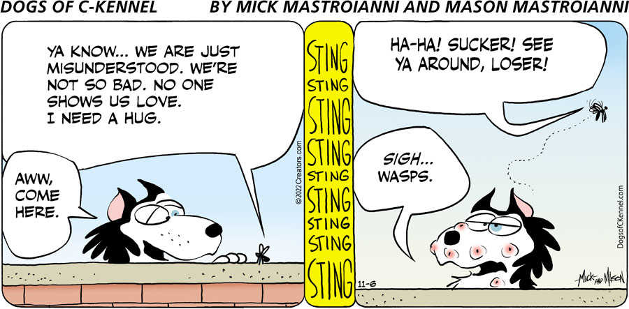 Dogs of C-Kennel for Nov 06, 2022