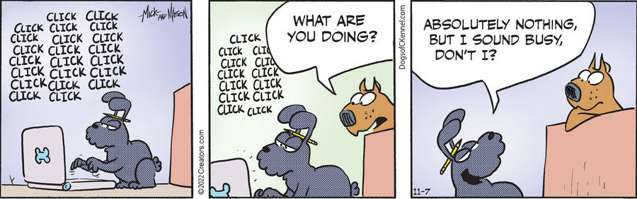 Dogs of C-Kennel for Nov 07, 2022