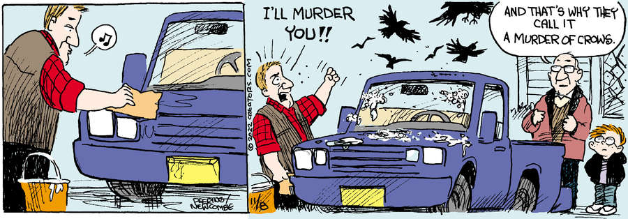 Zack Hill for Nov 08, 2022