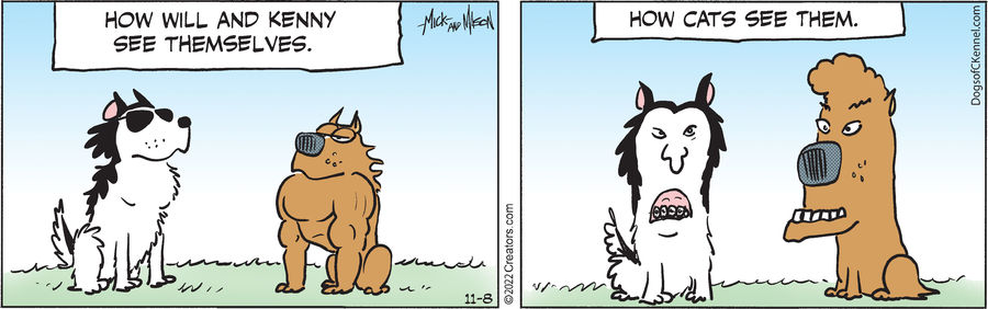 Dogs of C-Kennel for Nov 08, 2022