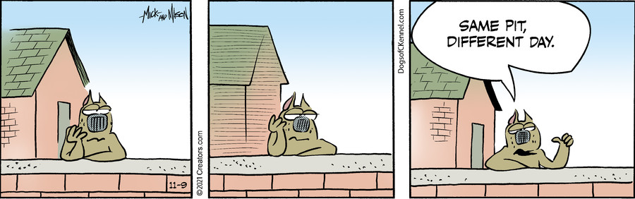 Dogs of C-Kennel for Nov 09, 2021