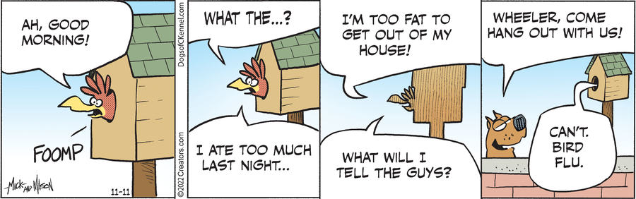 Dogs of C-Kennel for Nov 11, 2022