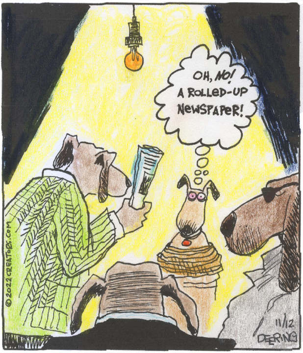 Strange Brew for Nov 12, 2022