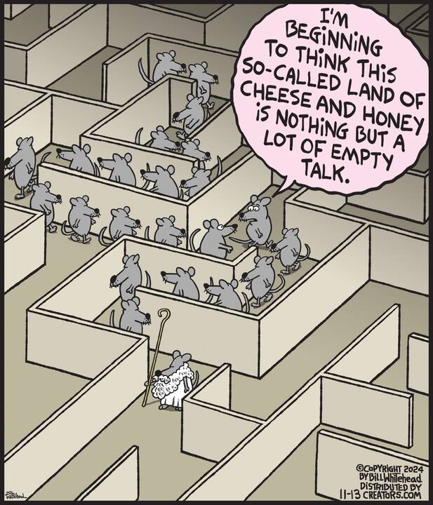 Free Range for Nov 13, 2024