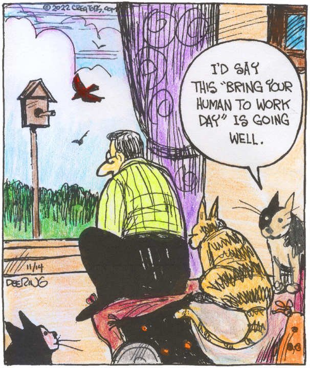 Strange Brew for Nov 14, 2022