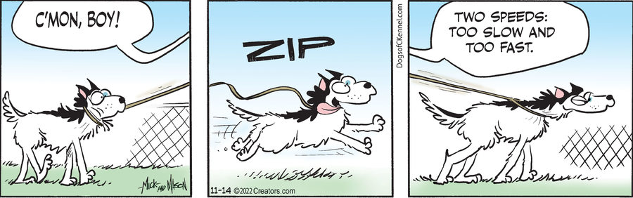 Dogs of C-Kennel for Nov 14, 2022