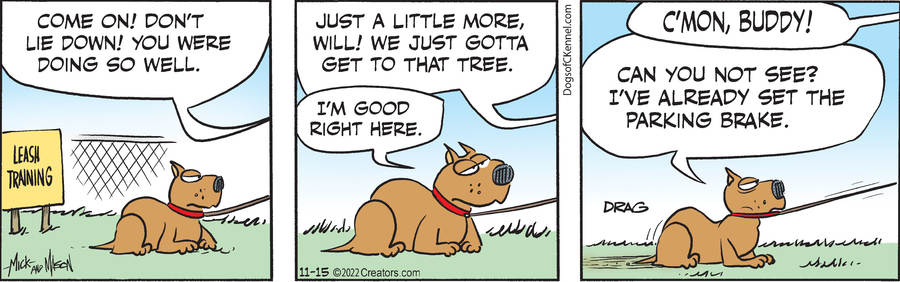 Dogs of C-Kennel for Nov 15, 2022