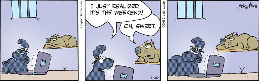 Dogs of C-Kennel for Nov 20, 2021