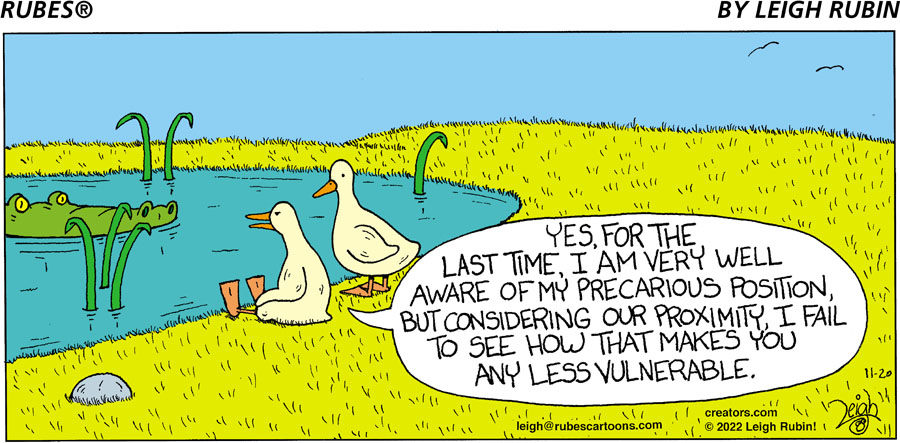 Rubes® for Nov 20, 2022