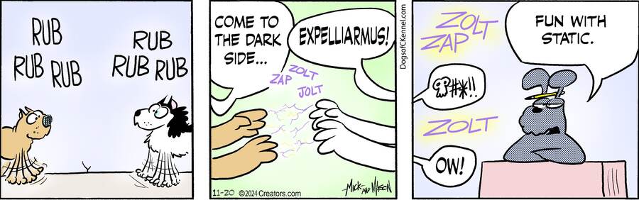 Dogs of C-Kennel for Nov 20, 2024