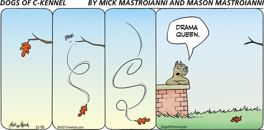 Dogs of C-Kennel for Nov 21, 2021