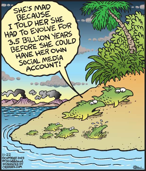 Free Range for Nov 22, 2023