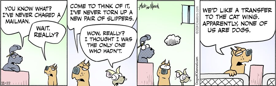 Dogs of C-Kennel for Nov 22, 2024